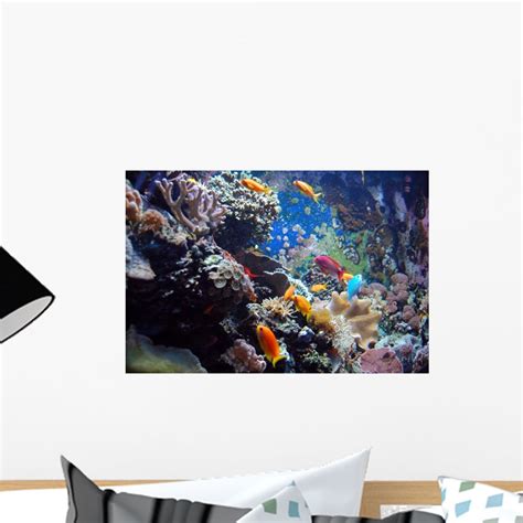 Aquarium Wall Mural by Wallmonkeys Peel and Stick Graphic (18 in W x 12 in H) WM300963 - Walmart.com