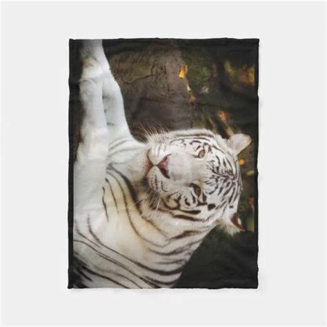 White Tiger Fleece Blanket Zazzle