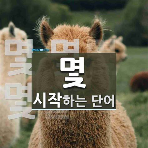 몇으로 시작하는 단어는 3개