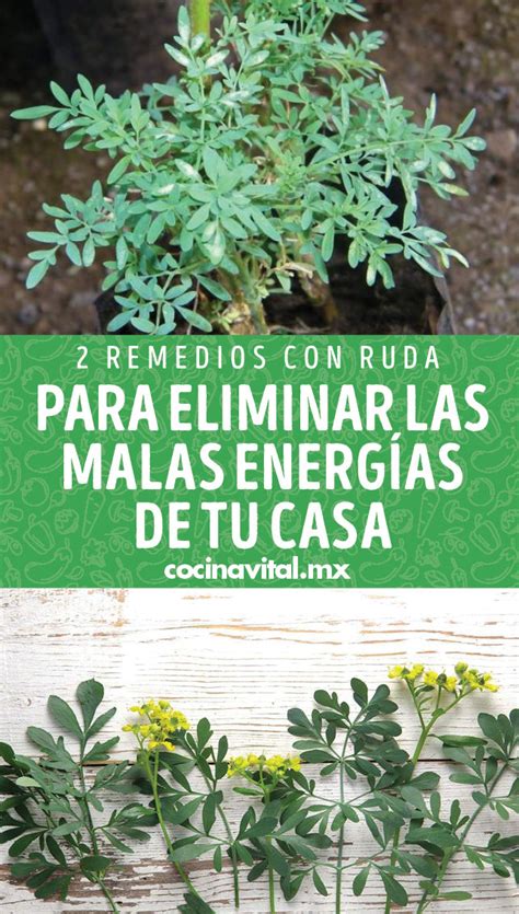 Si Sientes Que Tu Casa Lleva Malas Energ As Y Quieres Limpiarla De Una