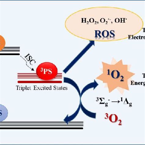 Schematic Jablonski S Diagram Showing Electron And Energy Transfer