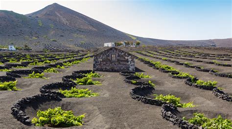 Canary Islands Wine Region, Spain | Winetourism