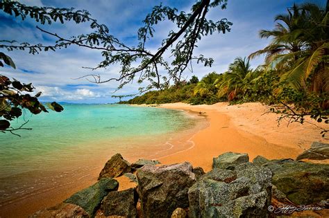 Punta Arenas - Vieques, PR - Jeffrey Favero Fine Art Photography