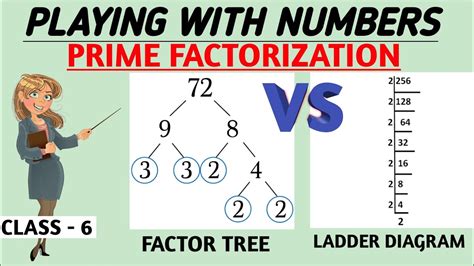 Prime Factorization Factor Tree And Ladder Diagram Playing With Numbers Chapter 3 Class 6