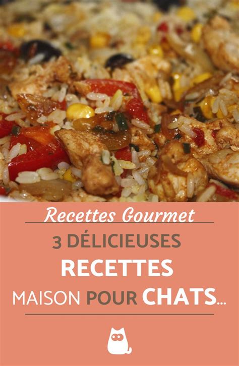 3 recettes gourmet pour chats Faciles et délicieuses Recette