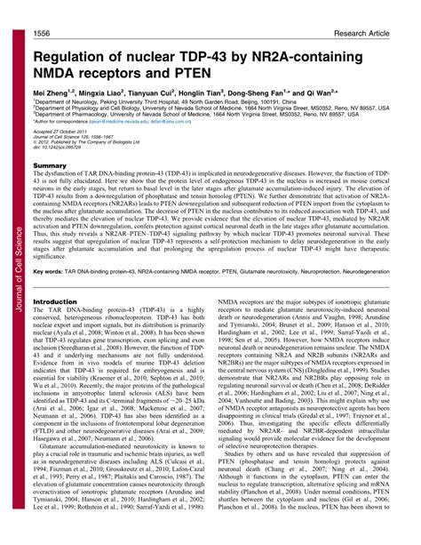 Regulation Of Nuclear Tdp By Nr A Containing Nmda Receptors And Pten