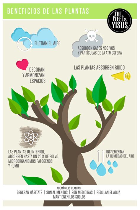 Beneficios De Las Plantas