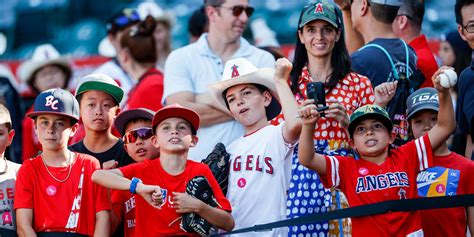 Top 5 MLB Fan Moments Ever