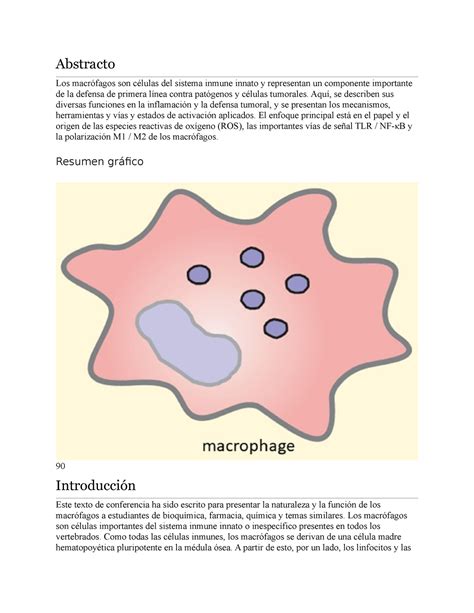 Macrofagos articulo guia de estudio Abstracto Los macrófagos son