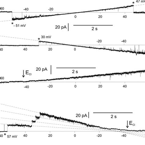 Activity Of Large Conductance Anion Channels Recorded During Ramp