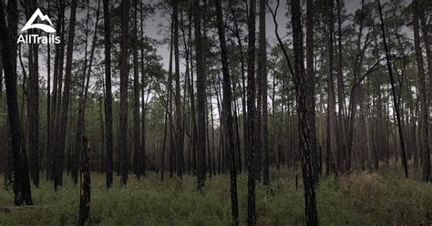Best Hikes And Trails In Baxley Alltrails