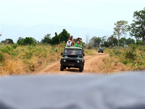 Udawalawe Safari Camp | Safari Camping in Udawalawe | Udawalawe Safari ...