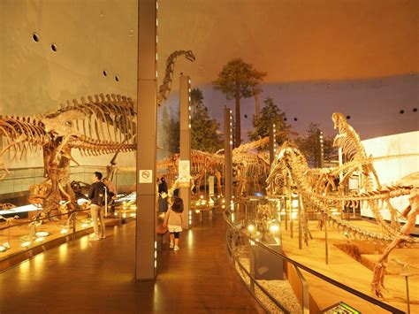 Fukui Prefectural Dinosaur Museum SNOW MONKEY RESORTS