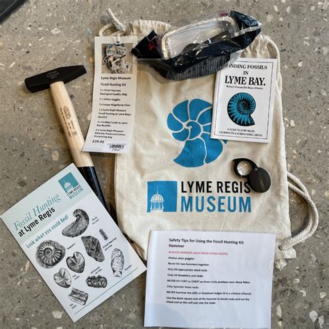 Lyme Regis Museum Fossil Hunting Kit Lyme Regis Museum