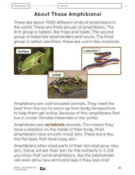 Reptiles And Amphibians E Lesson Plan Grade 2