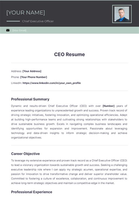 Free Ceo Resume Template Edit Online And Download