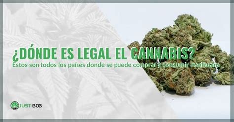 ¿dónde Es Legal El Cannabis Justbob