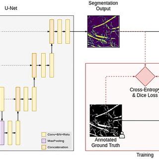 Example Of Segmentation And Result Of Skeletonization A 1000 By 1000