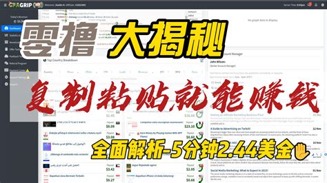 纯被动收益复制粘贴就能完成的零撸项目阳叔网创