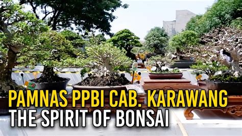 Pamnas Bonsai Ppbi Cabang Karawang The Spirit Of Bonsai Pangkal