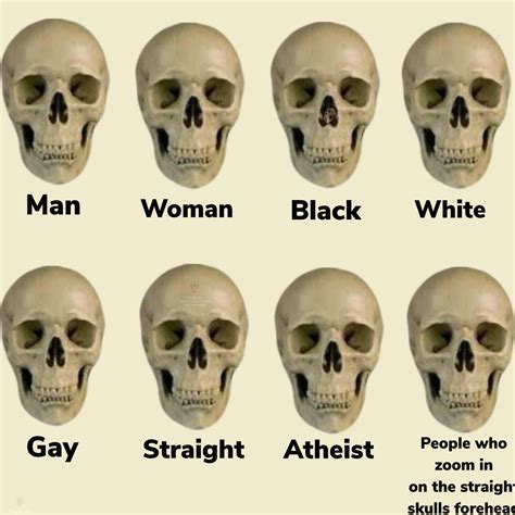 Big brain | /r/memes | Skull Comparisons | Know Your Meme