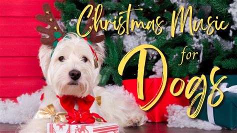 Paws And Claus Relaxing Christmas Music For Dogs Separation Anxiety