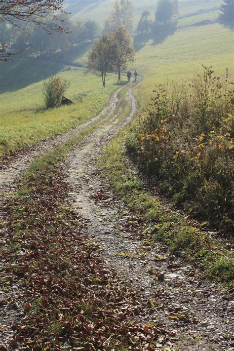 Mature Couples Walk Nude Forest Stock Photos Free Royalty Free Stock Photos From Dreamstime