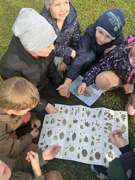 Projekt edukacyjny Kameleon Szkoła Podstawowa w Mirachowie