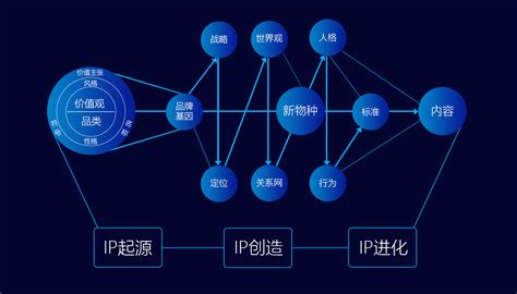 Ip品牌设计