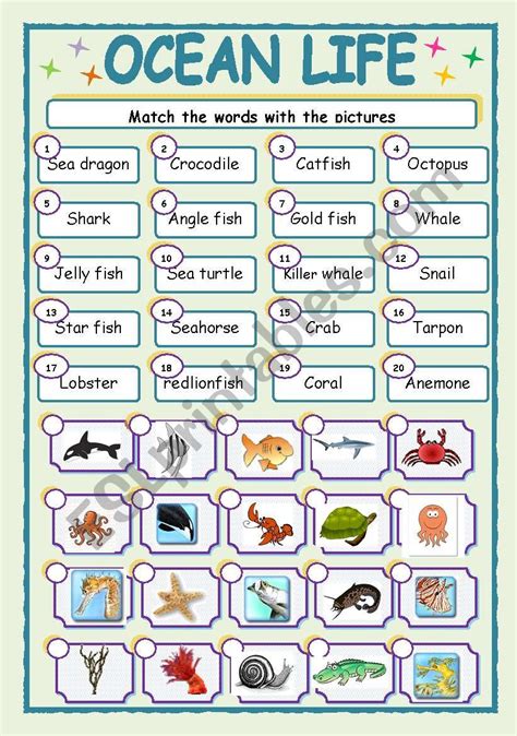 Ocean Life Esl Worksheet By Jhansi