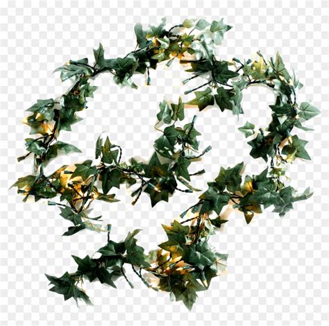 Ivy With Fairy Lights Jasmine Hd Png Download 1200x1200 282551