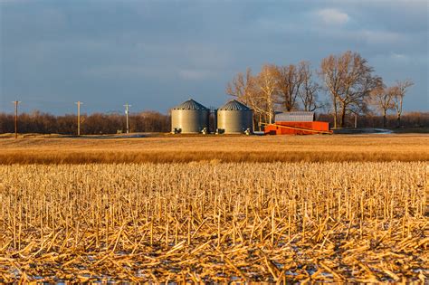 The Ohio Nature Blog: The Pickaway Plains