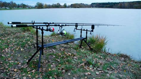 Best Carp Rods 2024: A Buyer's Guide