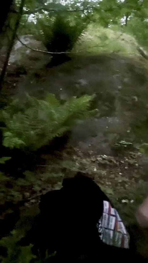 Forest Naked Walk French Gay Outdoor Outdoor Porn Xhamster