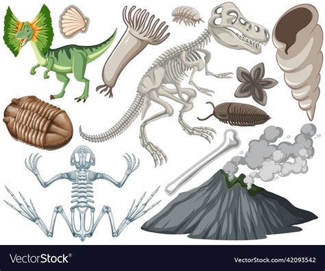 Set Of Different Prehistoric Dinosaur Animal Vector Image