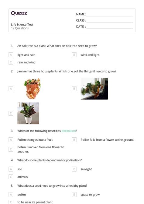 Life Science Worksheets For Nd Grade On Quizizz Free Printable