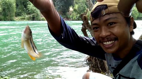 Macing Ikan Hias Liar Di Sungai Poso Auto Strike Youtube