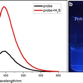 A Fluorescence Spectra Of Probe M And Probe M With H S