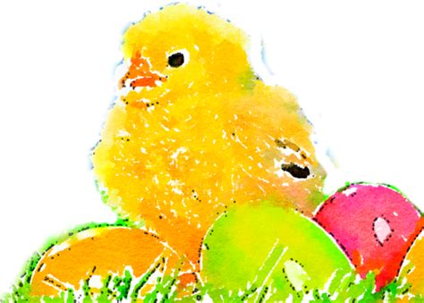 Download Easter Chick Easter Chick Watercolor Png And Psd Psd