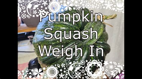 The Mystery Squash Weighing The Unknown Youtube