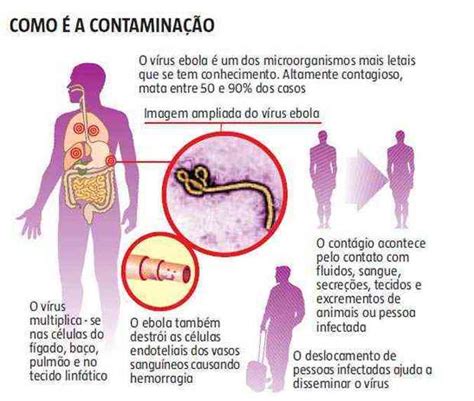 Minas Já Tem Plano De Ação Contra O Ebola Afirmam Autoridades Gerais