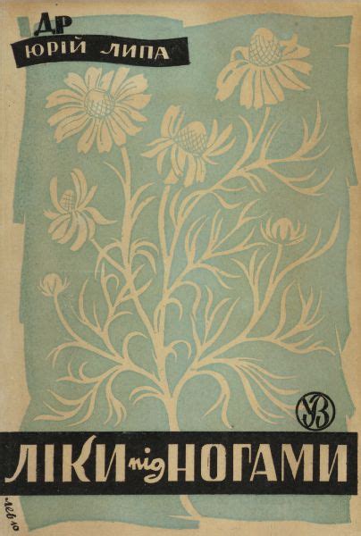 Юрій Липа, Ліки під ногами | Book art, Art, Book cover