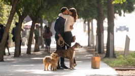 Everything You Need to Know About Dog Days Movie (2018)