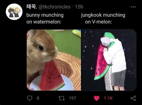 An Image Of A Rabbit Eating Watermelon And Another Photo Of A Bunny