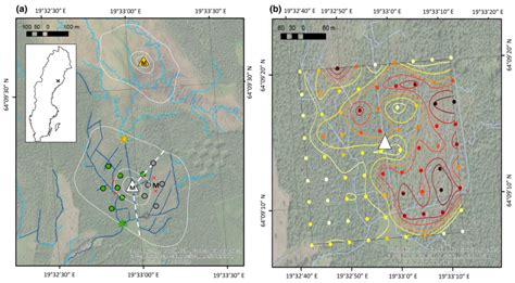 Drained peatland in Sweden turns out to be a carbon sink | by Yury ... 
