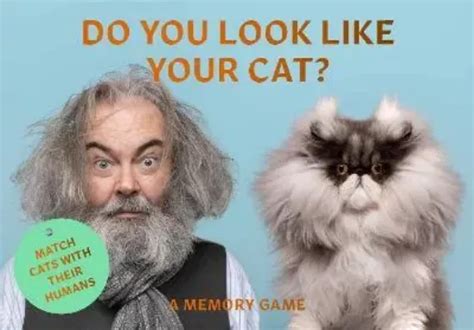 Do You Look Like Your Cat Match Cats With Their Humans A