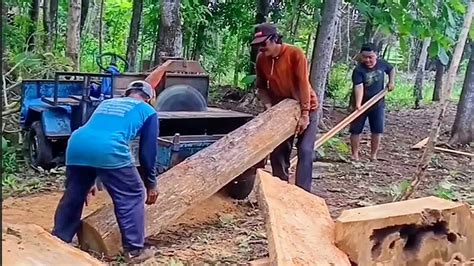 BUTUH SKILLS Keterampilan Membelah Kayu Jati Gergaji Mesin Serkel