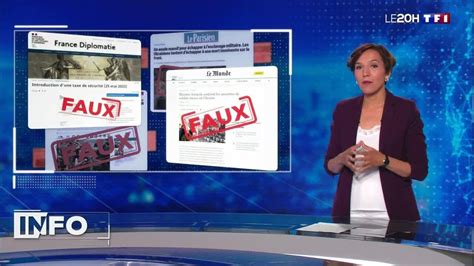 Info infox une campagne de désinformation menée contre les français