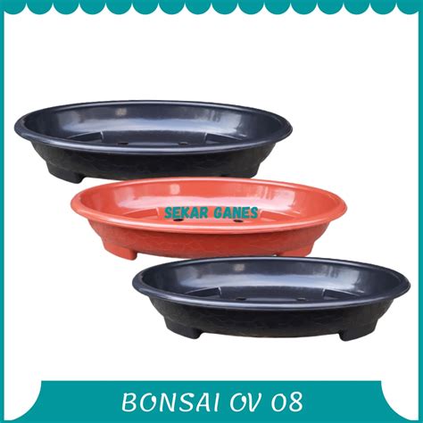 Jual Pot Bonsai Oval Ov 08 Putih Hitam Merah Bata Coklat Pot Bunga