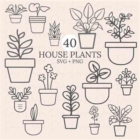 House Plants Svg Potted Plant Svg Garden Svg Gardening Svg Floral